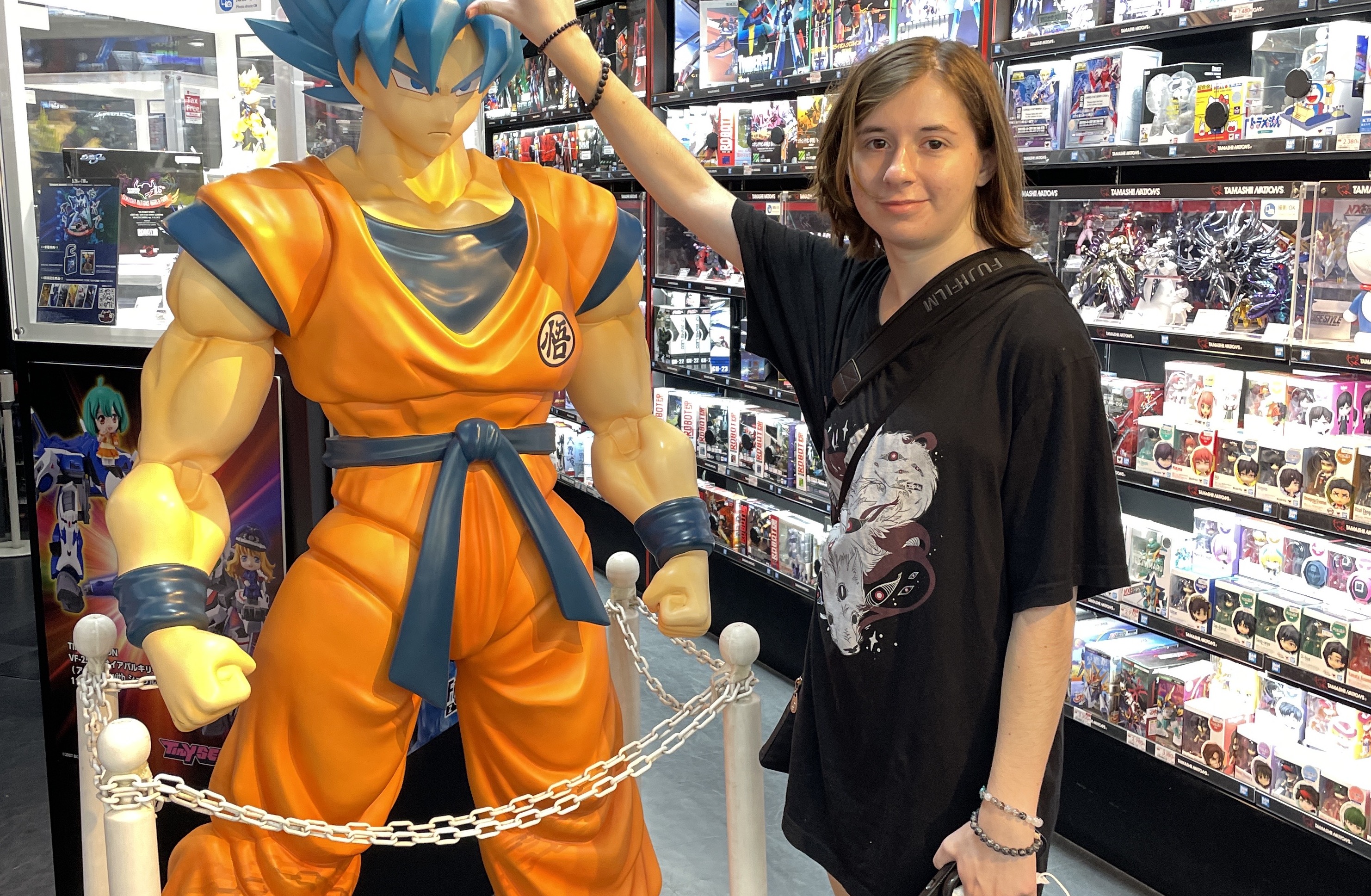 东京市 & 秋叶原游戏 & 日本动漫 & 漫画宅男半日游