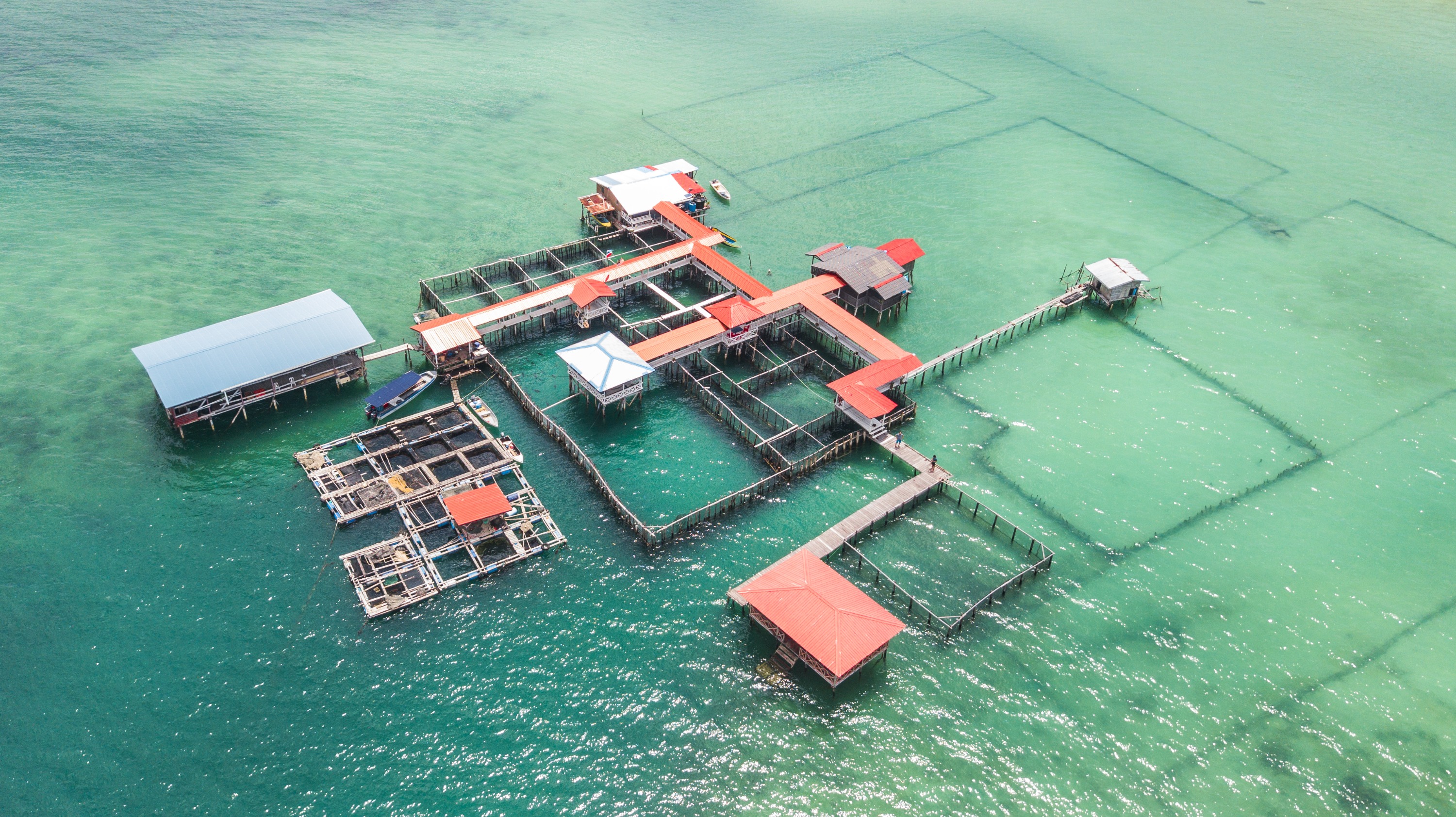 古达放松一日游