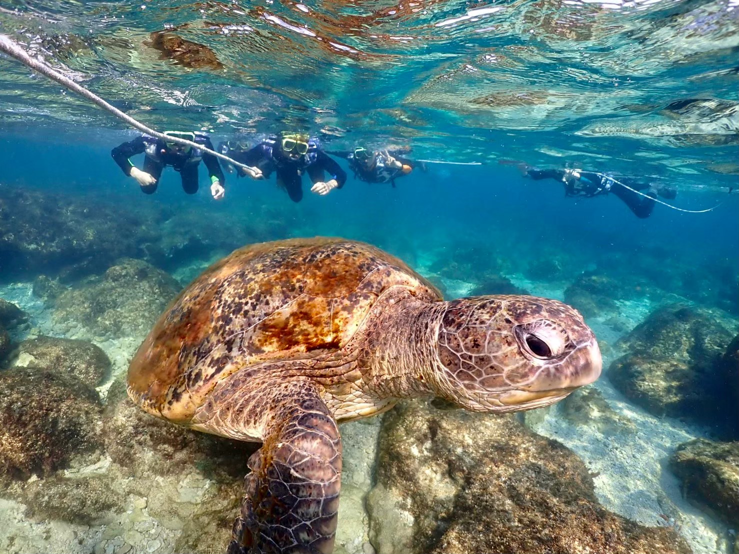 屏东: 小琉球蟹老板浮潜体验 (赠拍照)