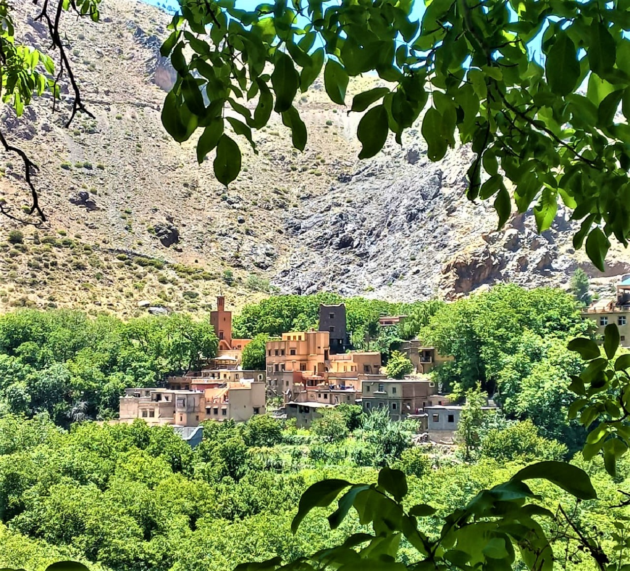 阿特拉斯山脉一日游（含骑骆驼）