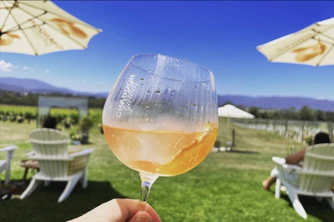 雅拉河谷香桐气泡酒＆巧克力品尝＆袋鼠观赏半日游