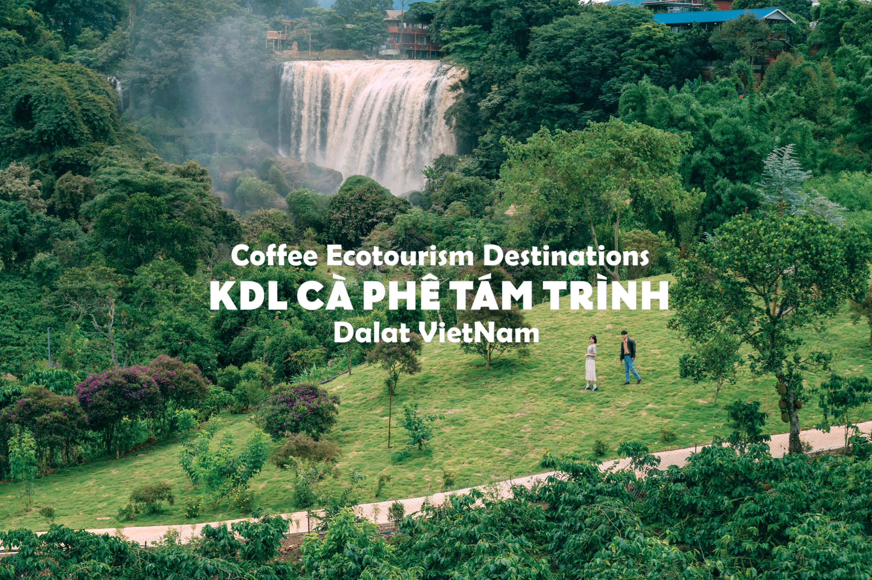 Tam Trinh咖啡农场参观 & 咖啡制作品尝体验