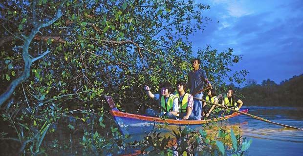 雪兰莪海岸村 & 棕榈酒 & 赏鹰 & 萤火虫之旅