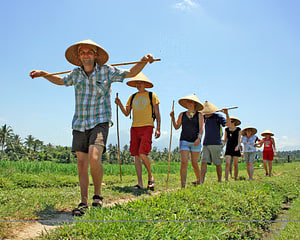 乌布巴厘岛文化体验