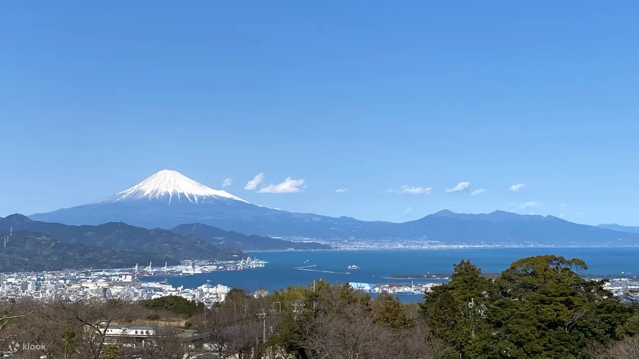 静冈市私人一日游（富士山观景 & 索道）