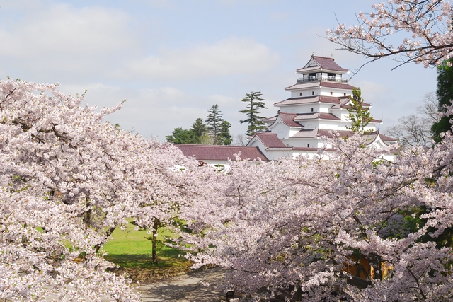 会津若松城（Aizu-Wakamatsu Castle）门票