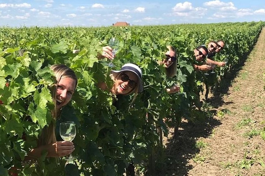 梅多克下午葡萄酒之旅  - 含开胃菜（波尔多出发）