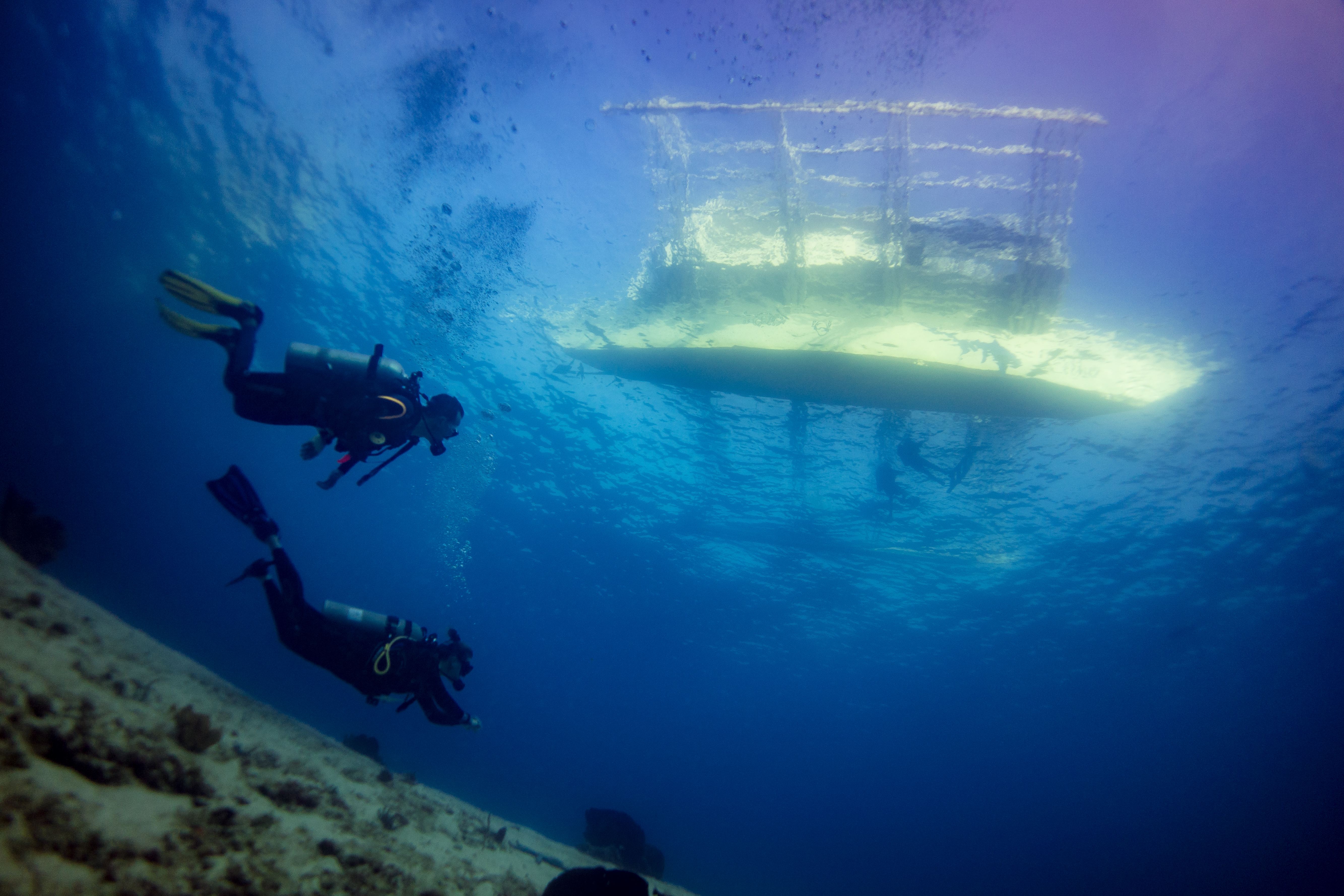 宿务未知领域初潜体验（PADI五星级潜水中心）
