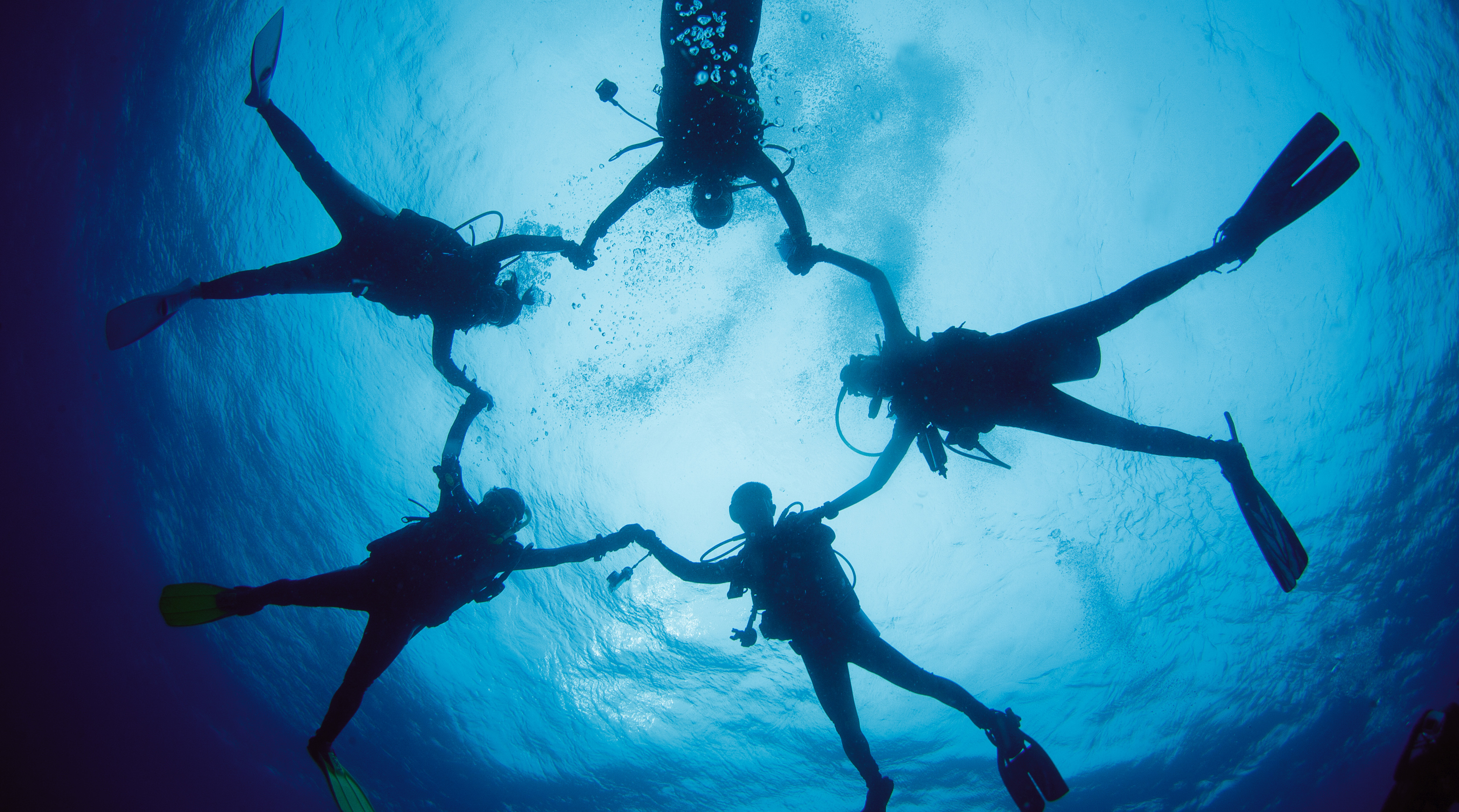 阿迈德初学者水肺潜水体验（PADI五星级潜水中心）