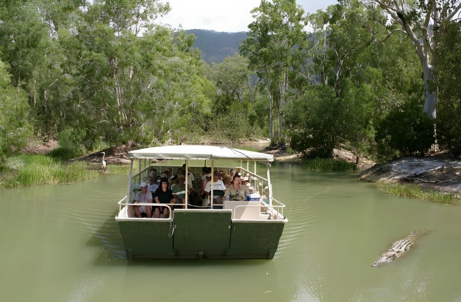 哈特利鳄鱼探险园一日 / 半日游