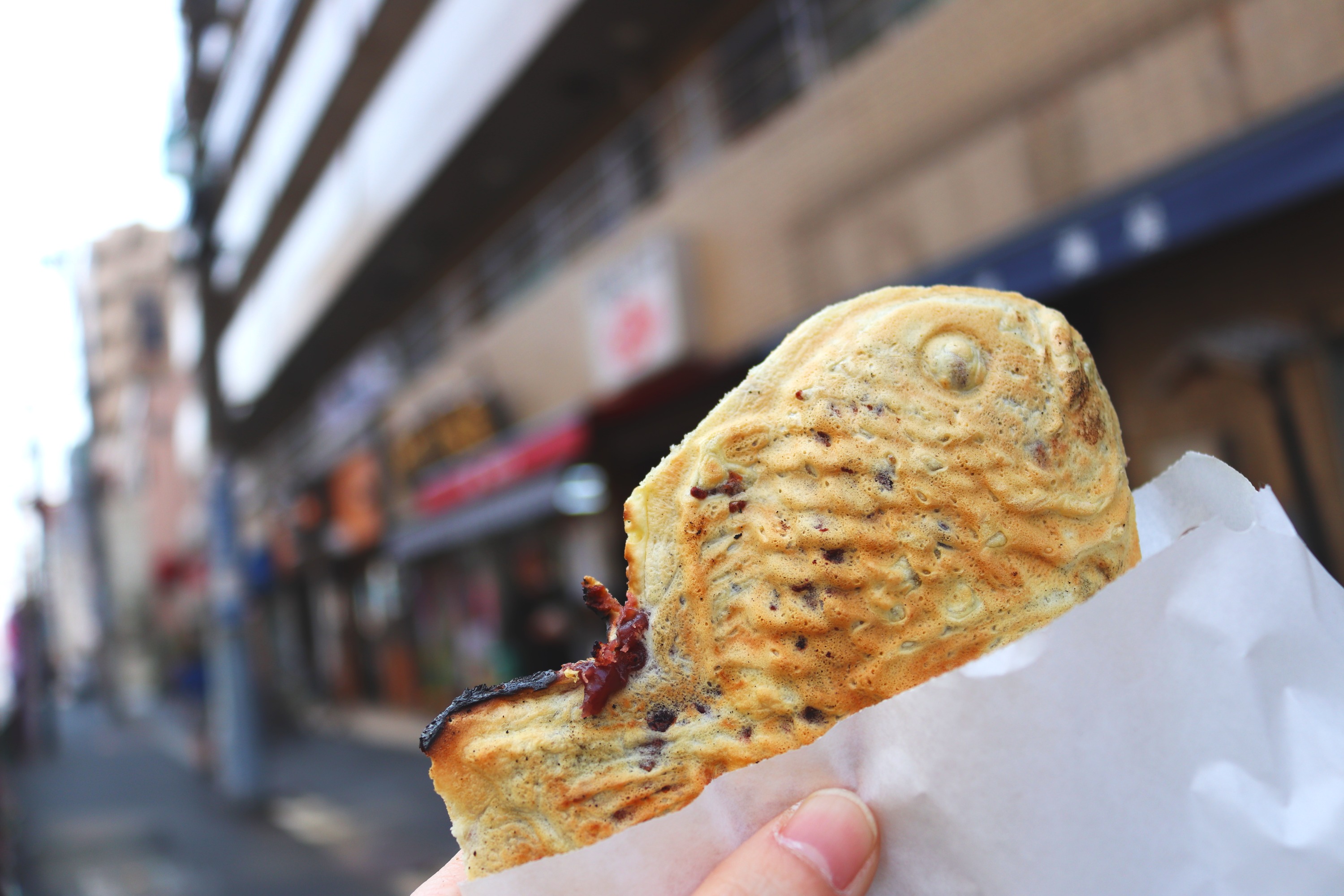 东京“Yanesen”怀旧探索之旅（带当地导游）