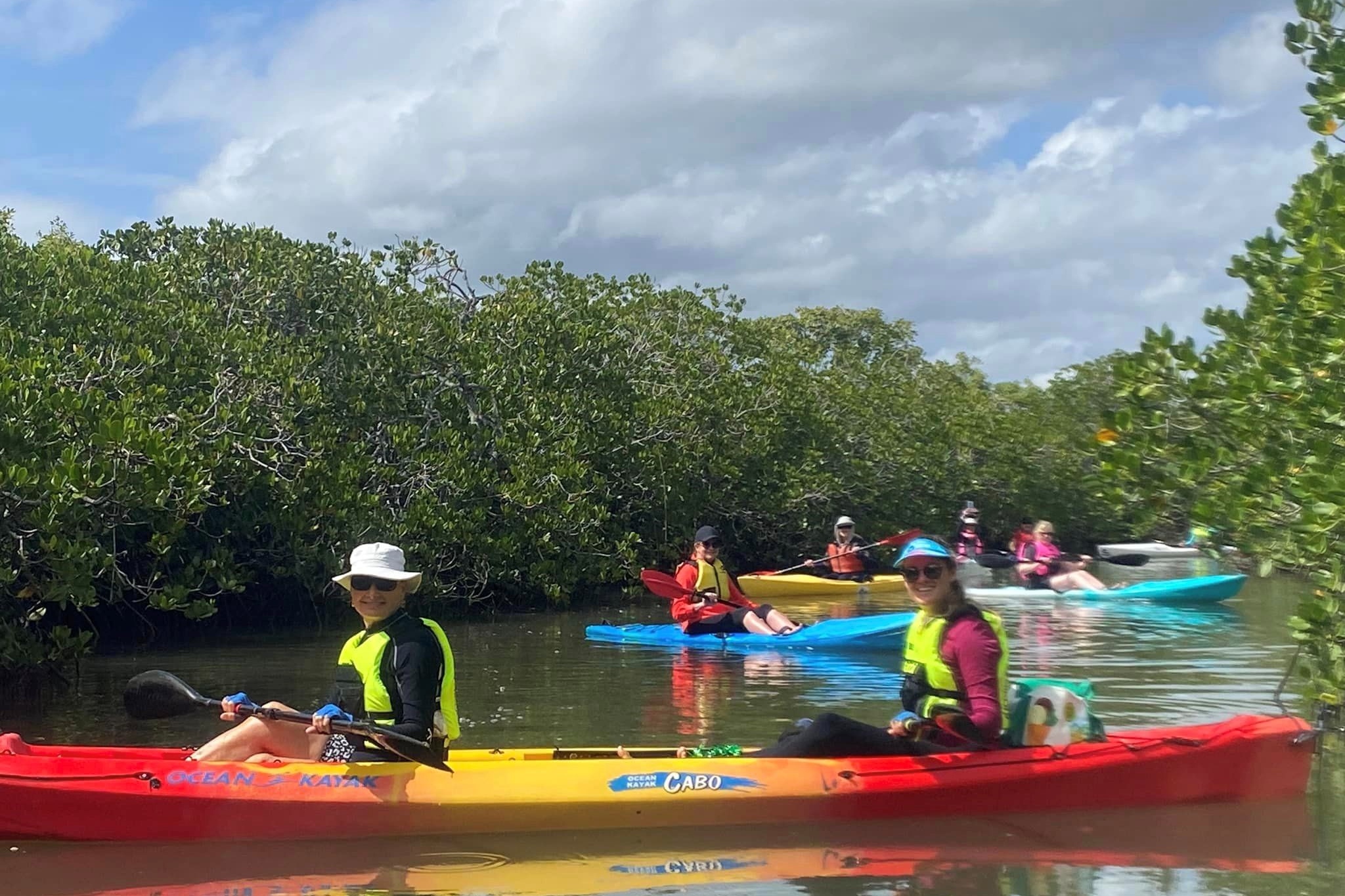 努沙河红树林与豪宅导览皮划艇之旅
