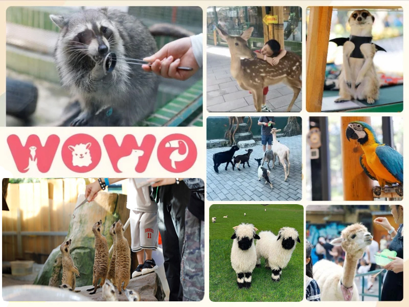 WOWO窝窝萌宠森友会 (世界之窗店) 