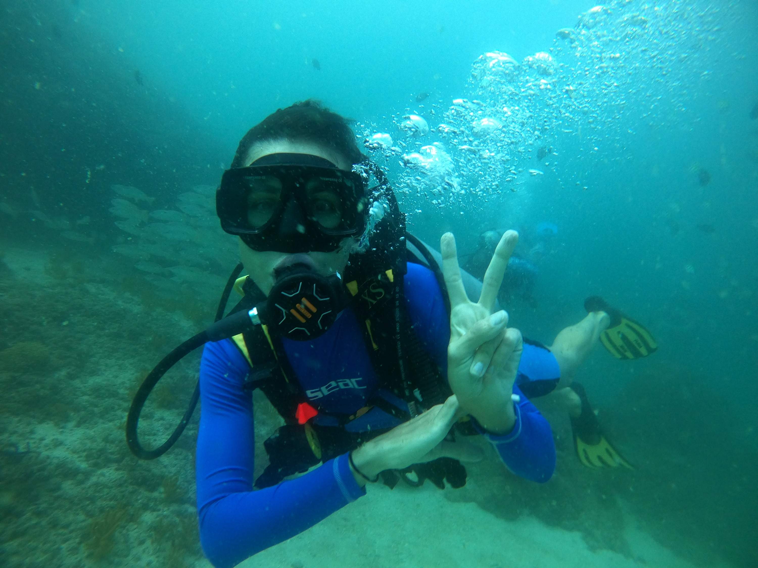 迪拜初学者水肺潜水体验