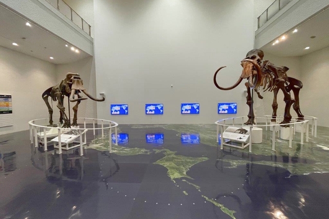 北海道博物馆（常设展）门票（札幌）