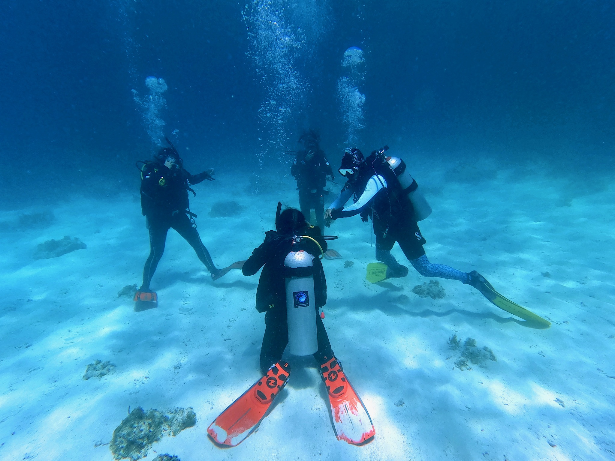 薄荷岛PADI水肺复习课程体验