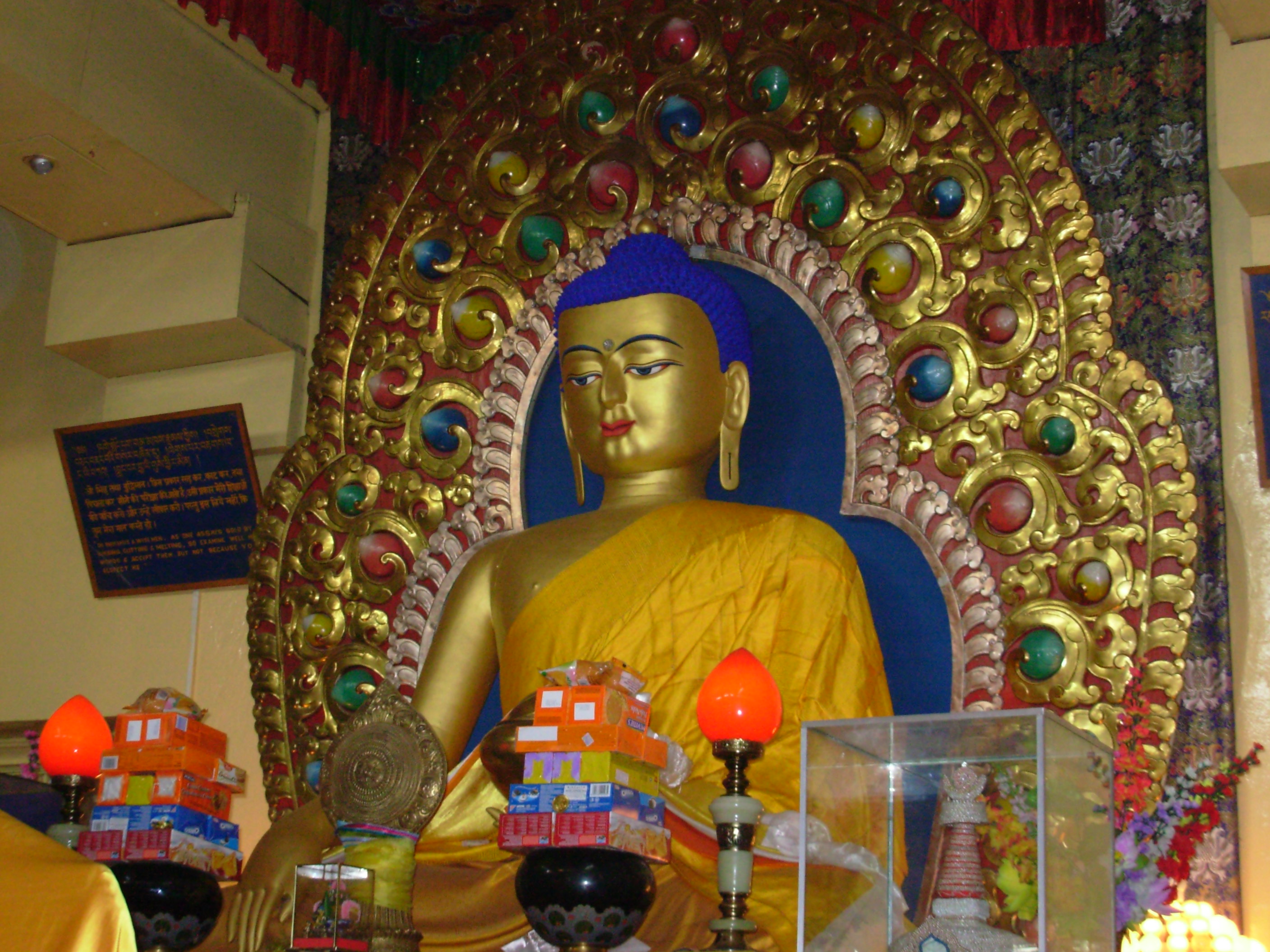 达兰萨拉全日游