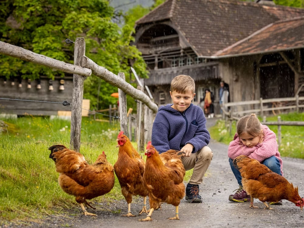 巴伦伯格露天博物馆门票