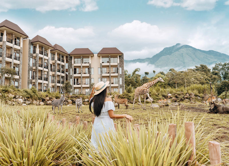 野生动物 & 布罗莫火山家庭之旅（儿童友好）