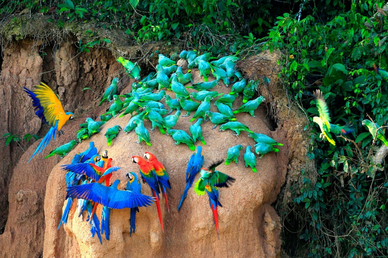 马努国家公园5日游