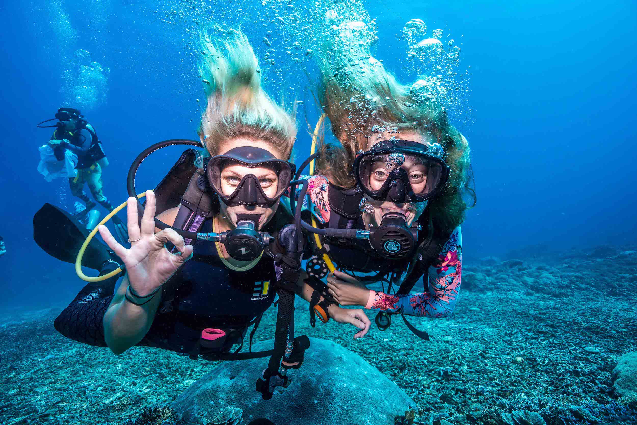 阿拉尼亚 水肺潜水（含午餐和接送服务）