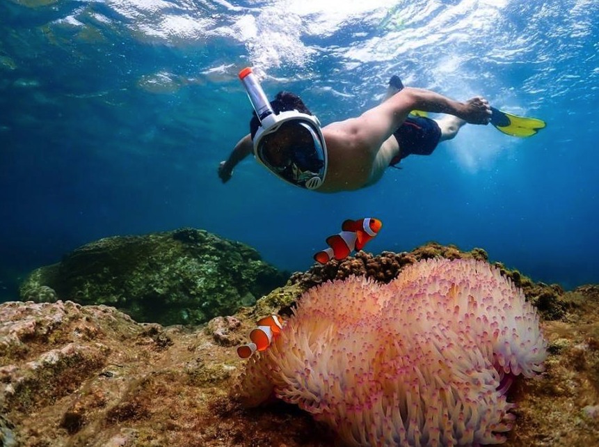 尼莫岛体验（含无人机照片 & 午餐）- 芭提雅出发