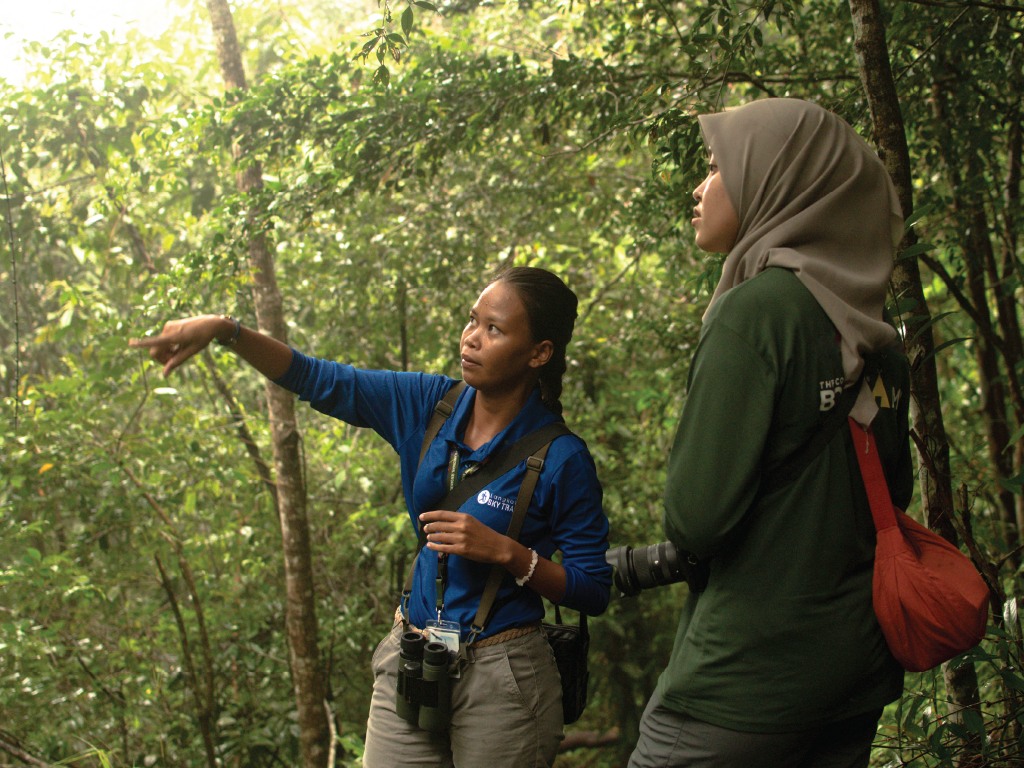 兰卡威天空步道 & 缆车体验