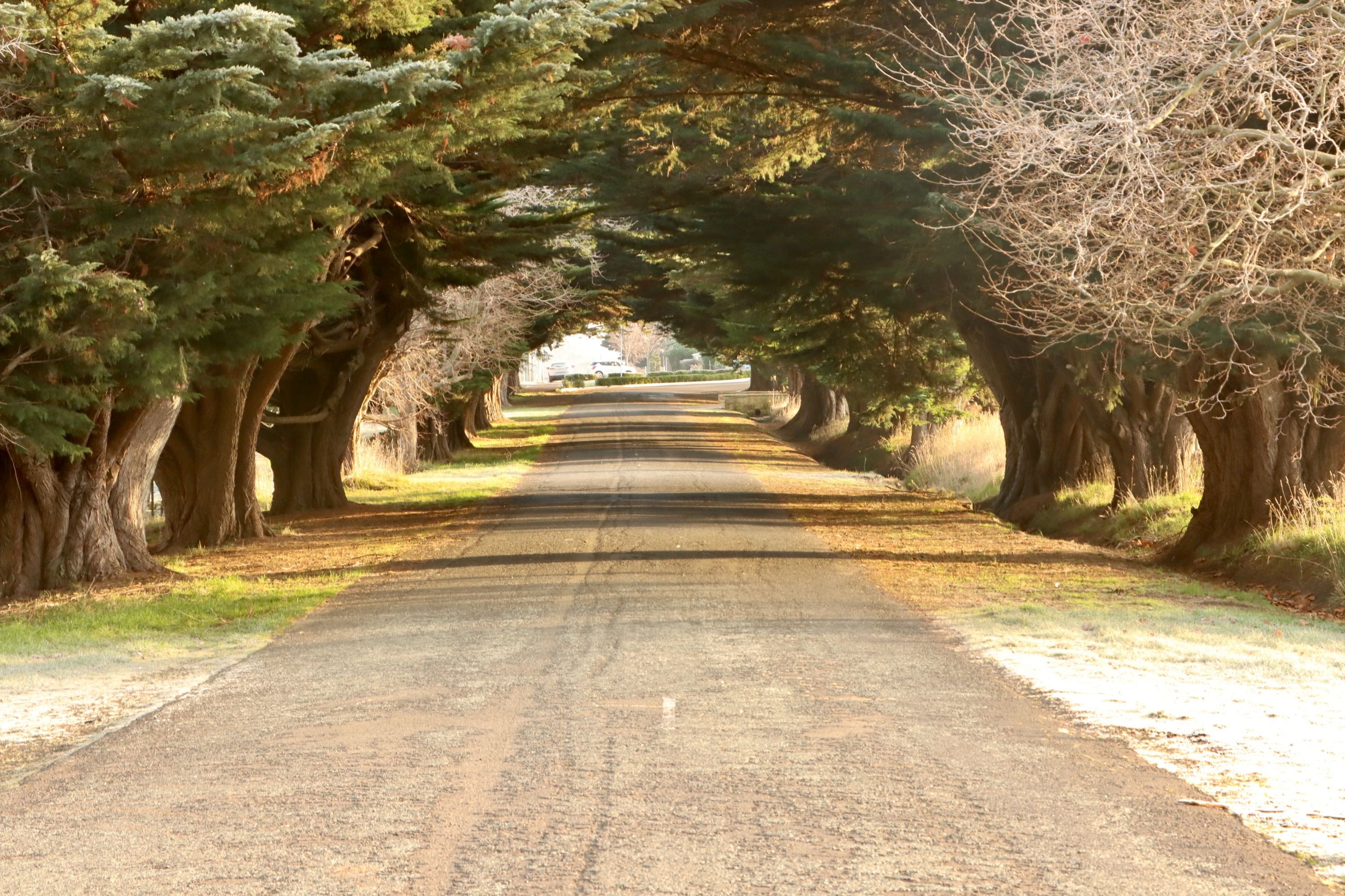 肯普顿威士忌酿酒厂探索 & 品酒之旅