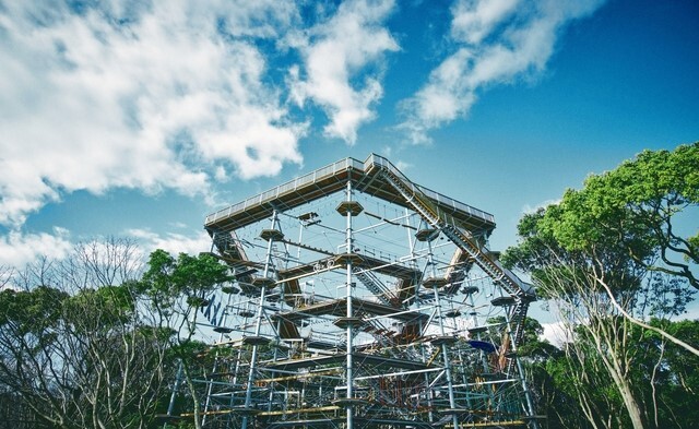 大阪BAMPAKU BEAST门票