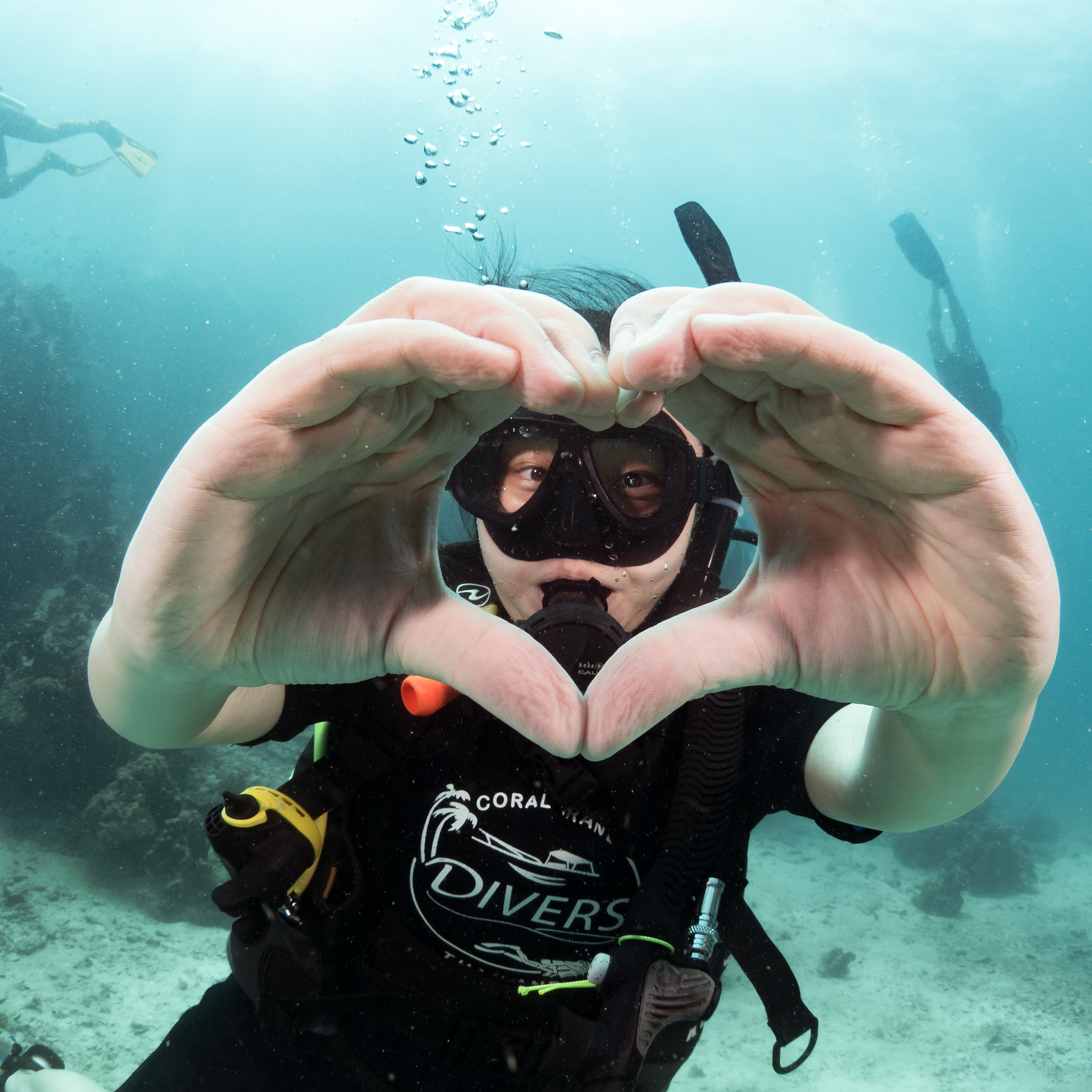 涛岛初学者潜水体验（PADI五星级中心）