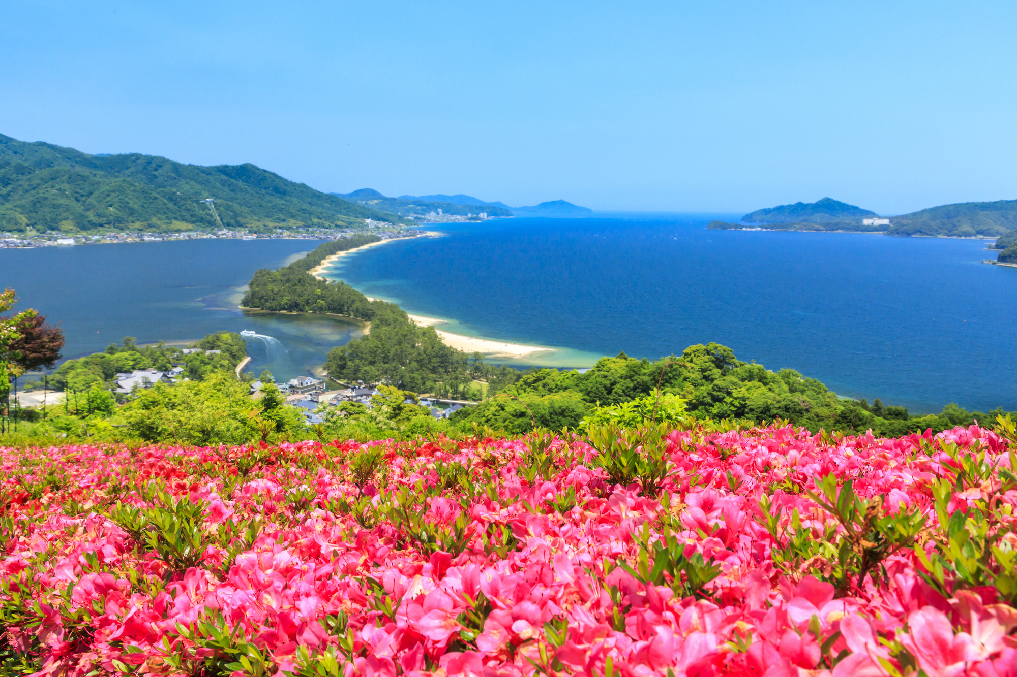天桥立 & 伊根舟屋一日游（大阪出发）