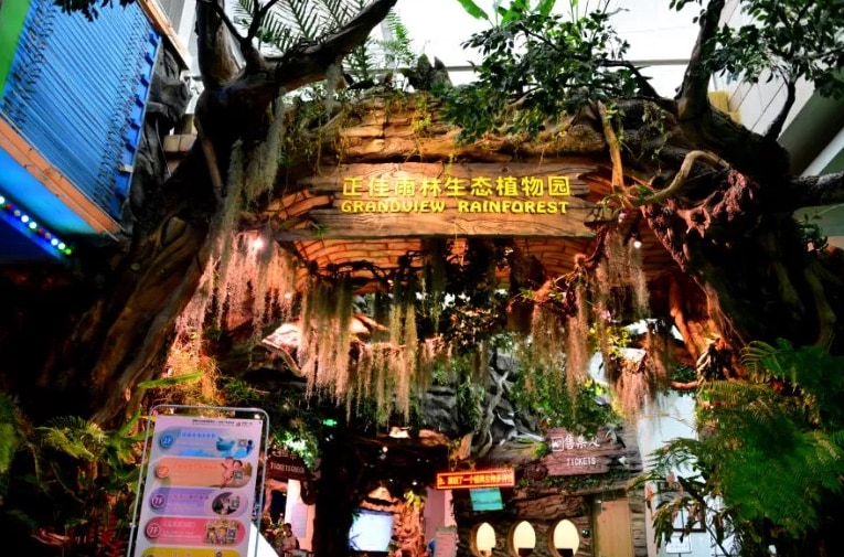正佳雨林生态植物园