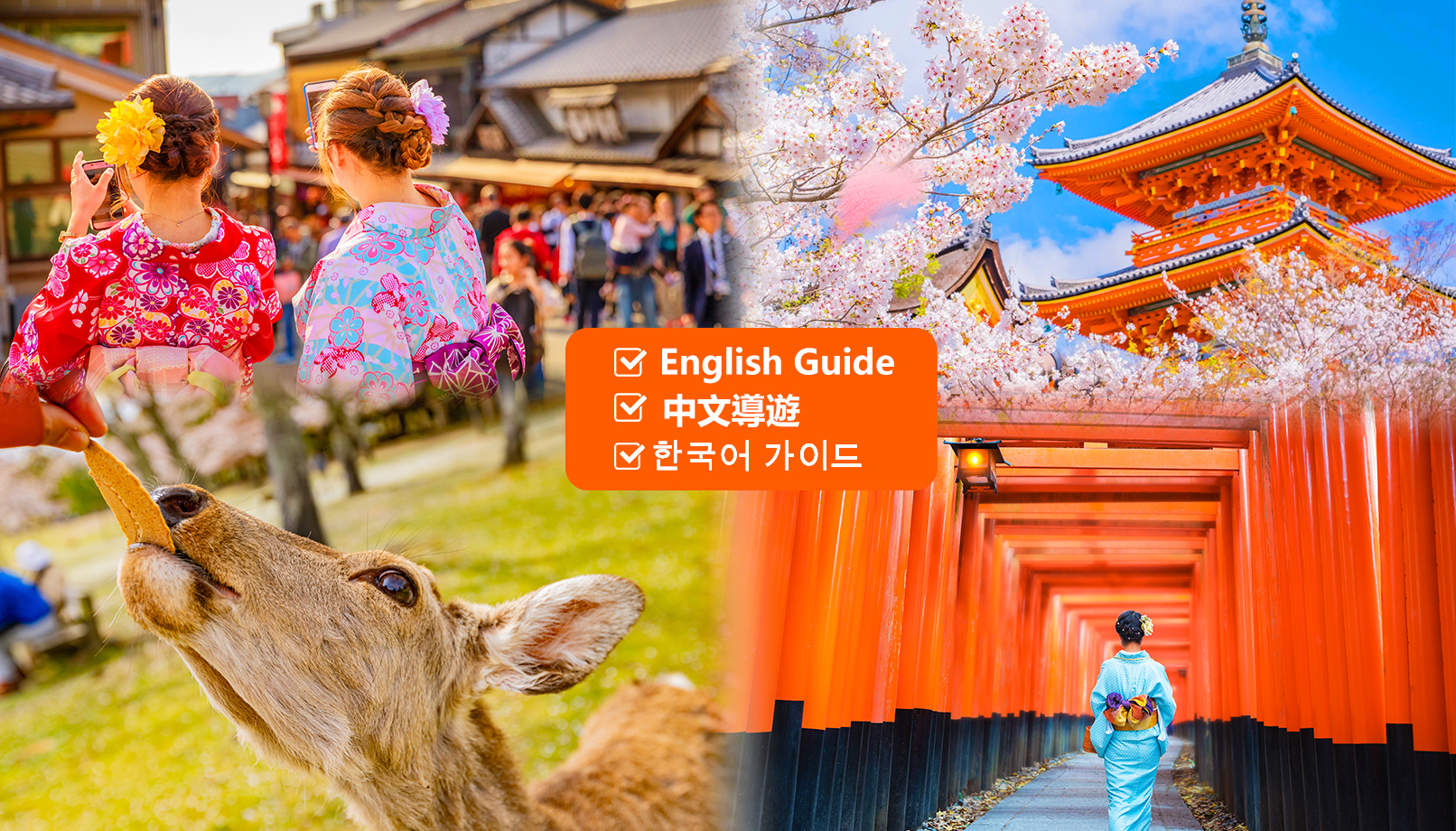 京都奈良一日游 │ 清水寺+伏见稻荷大社+奈良公园（大阪/京都出发）