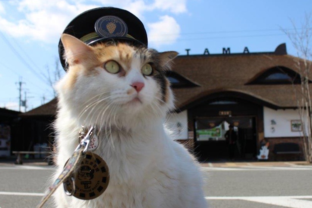 贵志站 & 黑潮市场 & 临空奥特莱斯一日游（大阪出发）
