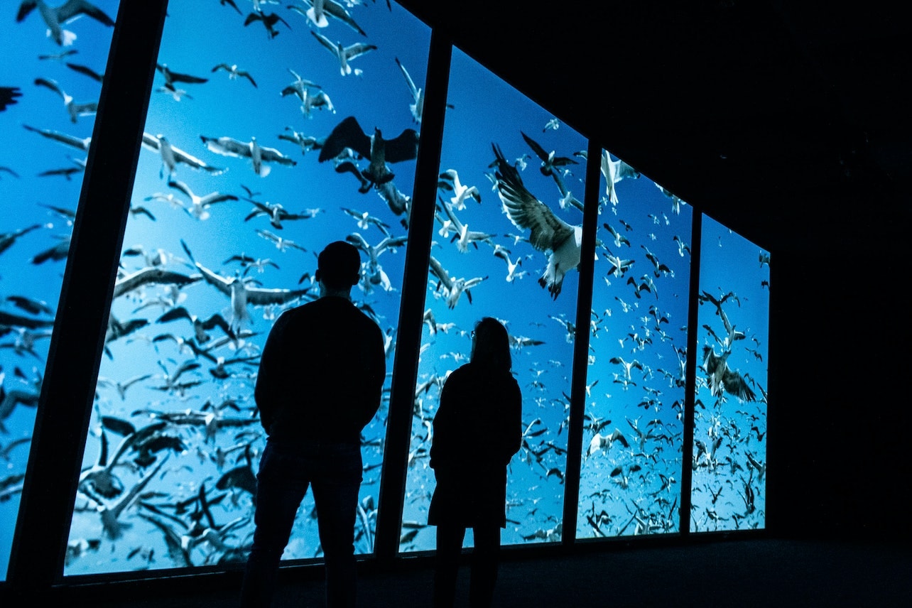 里斯本海洋水族馆门票