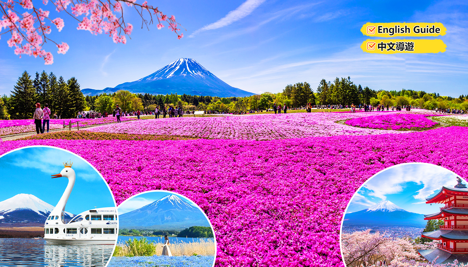 富士山河口湖＆季节限定富士美景＆山中湖温泉一日游（东京出发）