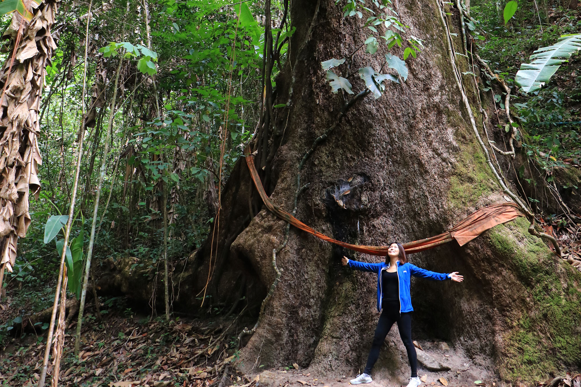 清迈湄康榜 & 周边一日游
