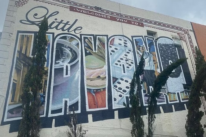 迈阿密小哈瓦那街头艺术涂鸦之旅