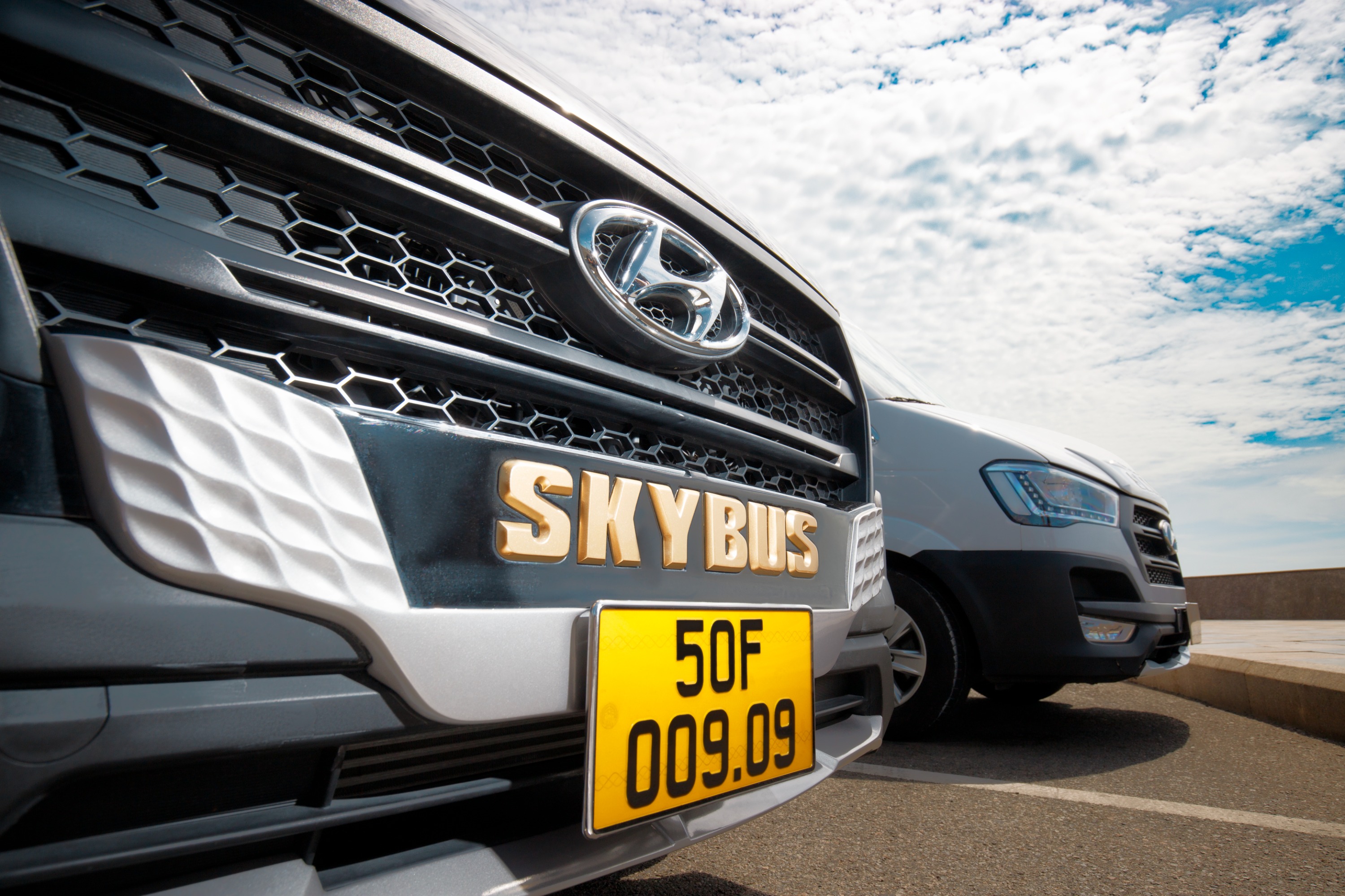 胡志明市 - 平州米内拉温泉度假村豪华轿车共乘接送