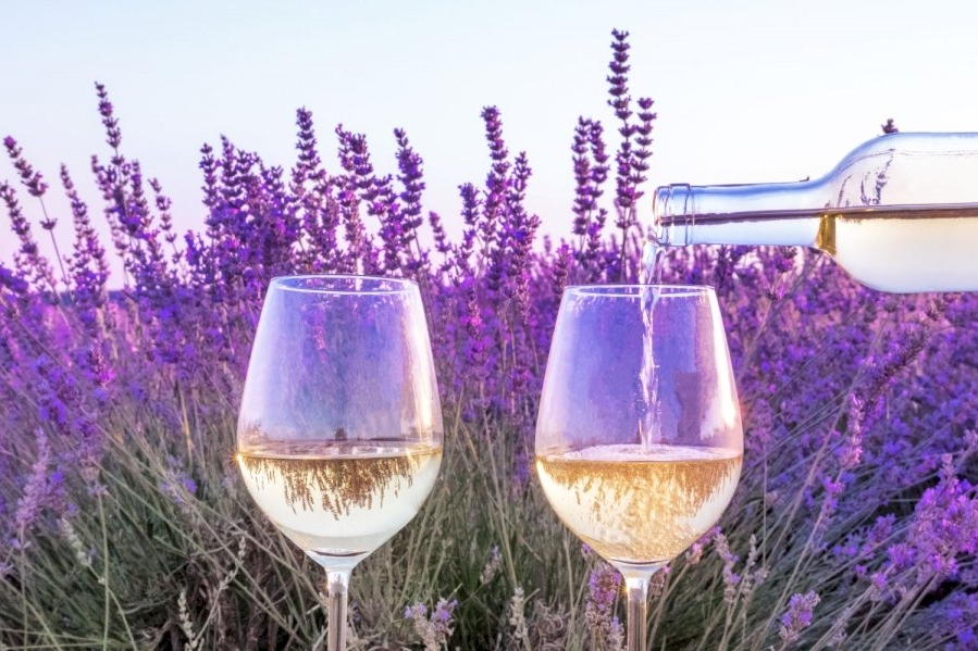 普罗旺斯葡萄酒庄探索之旅（普罗旺斯地区艾克斯出发）