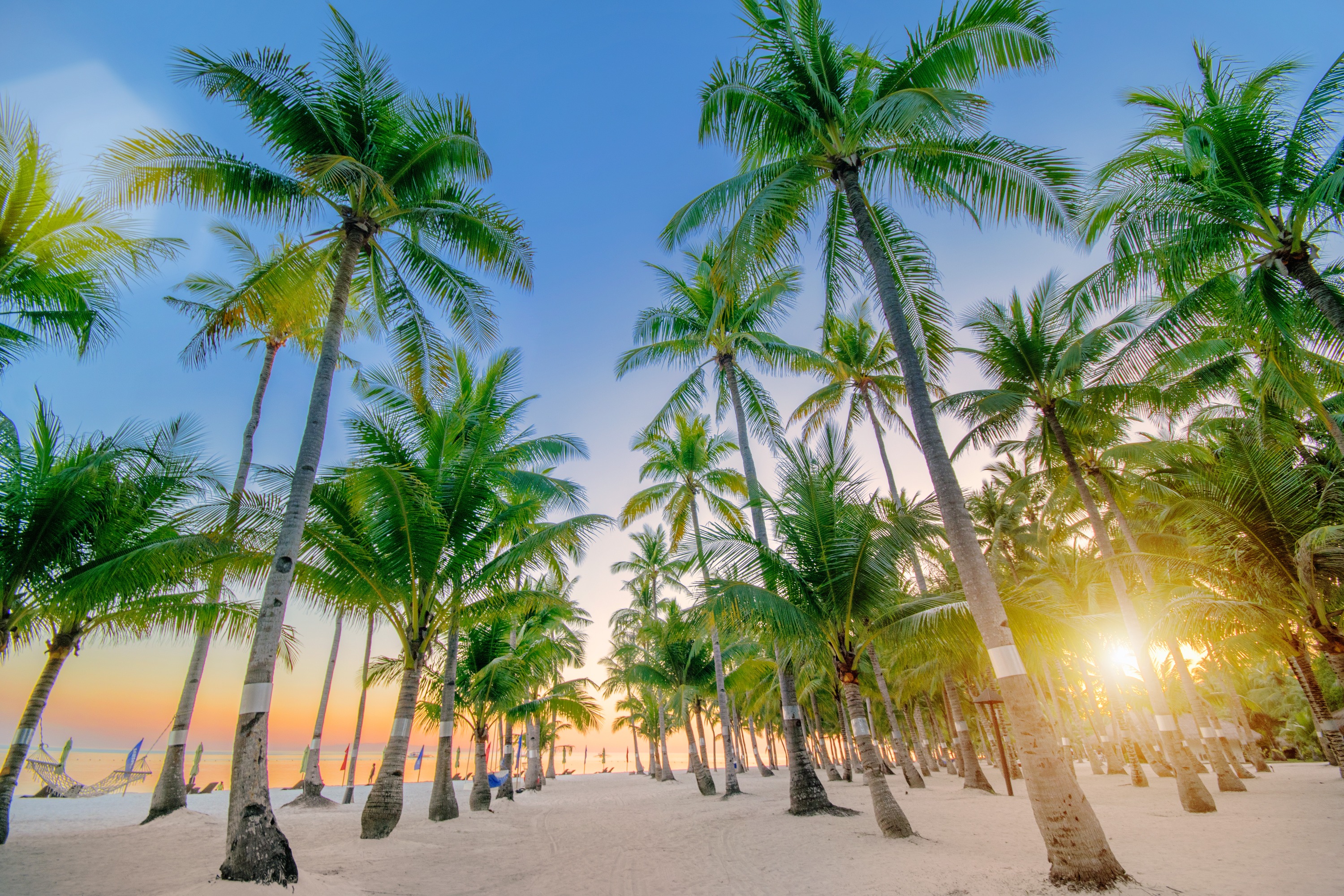 邦劳岛 Oceanica Resort 度假村（含 South Farm 入场）