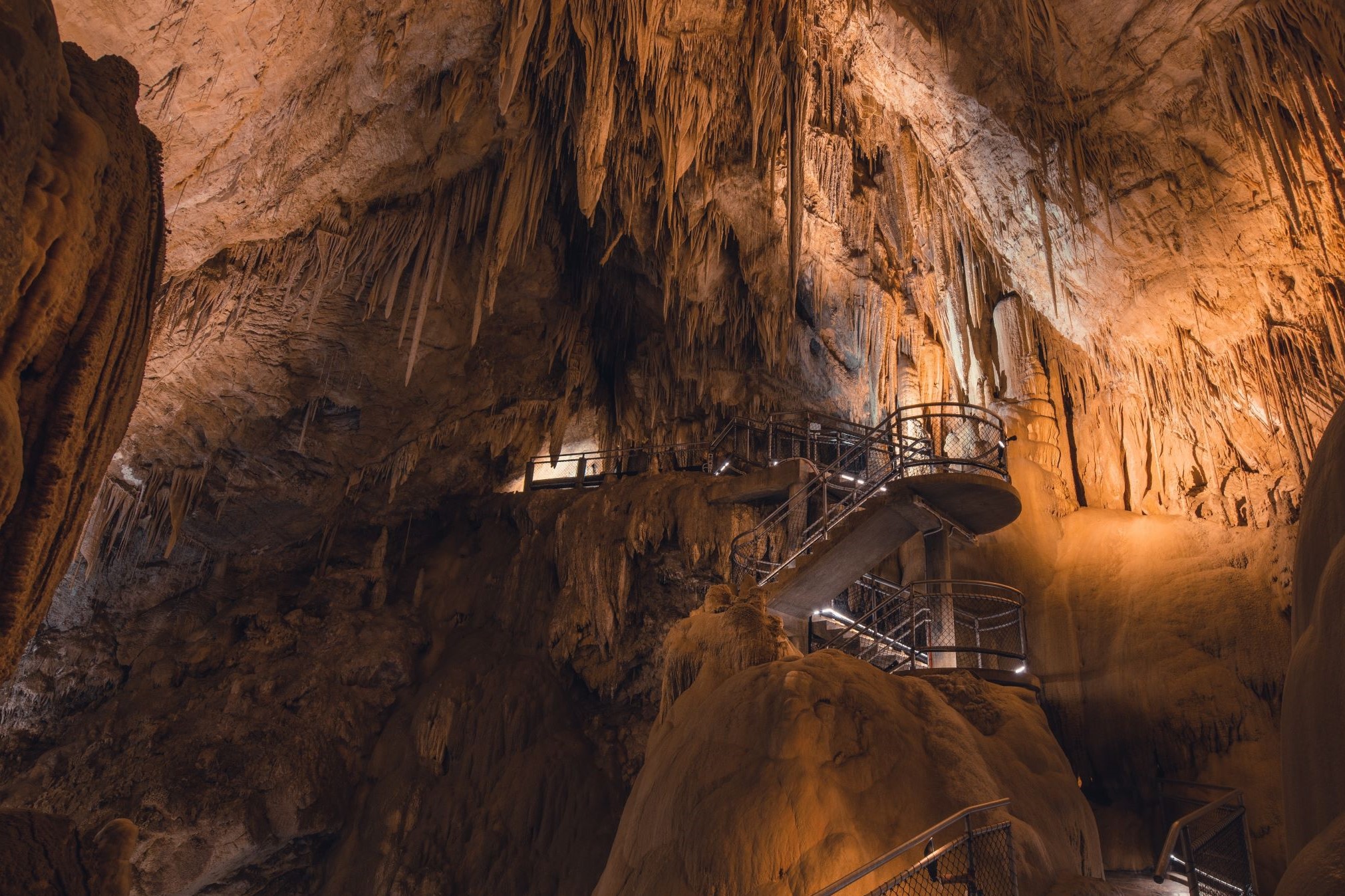 黑斯廷斯洞穴 & 塔胡恩空中走道之旅（霍巴特出发）