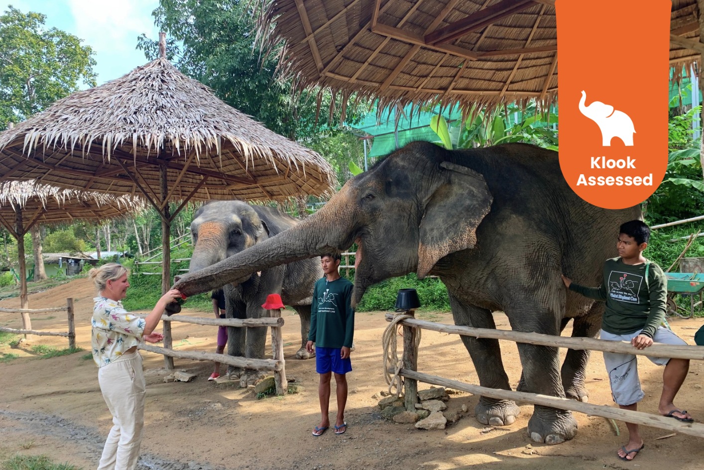 普吉岛大象保护区体验