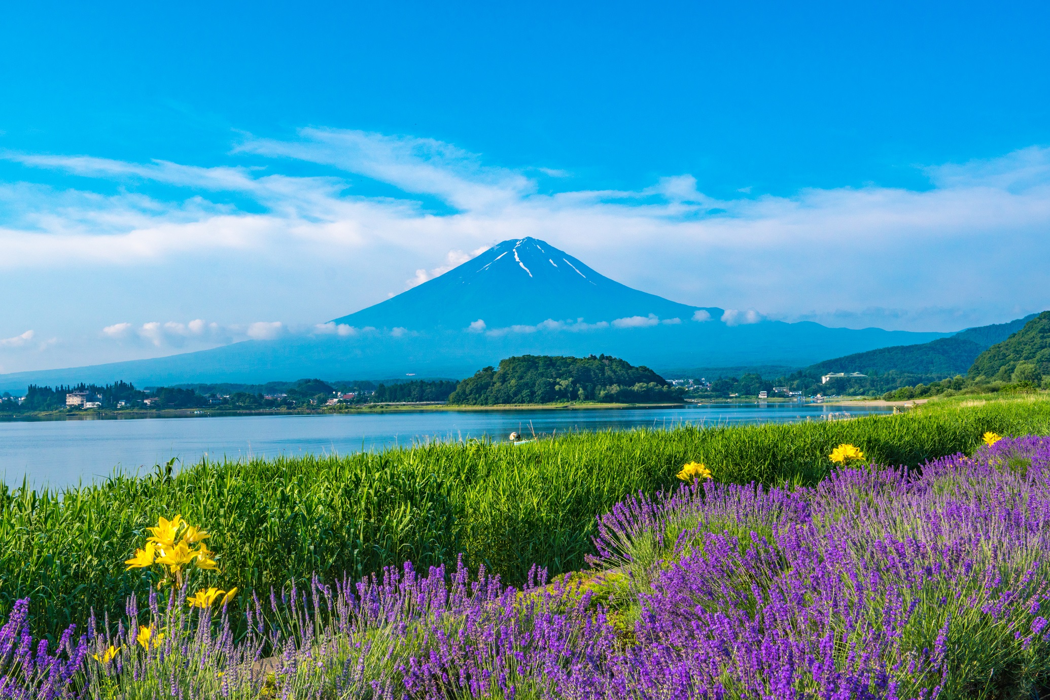 东京出发富士山景观 & 御殿场 Premium Outlets 一日游
