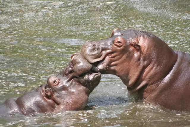 西海长崎生物公园门票