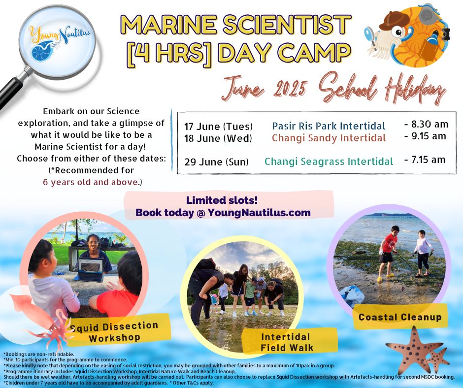 新加坡Marine Scientist Day Camp海洋营地体验