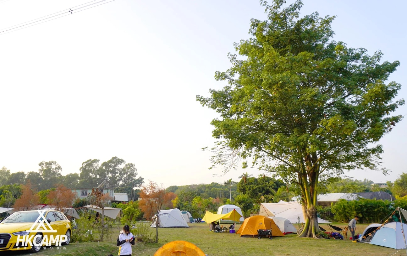 森之谷 汽车露营/露营