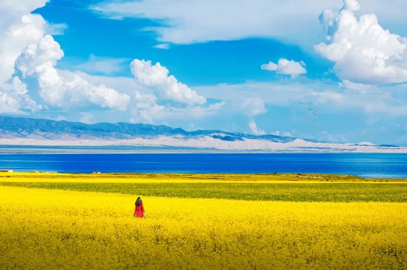 私家团 一路向西北青甘环线8天兰州起止（青海湖骑行下午茶+茶卡盐湖+翡翠湖+莫高窟+鸣沙山月牙泉+嘉峪关+七彩丹霞+祁连大草原）