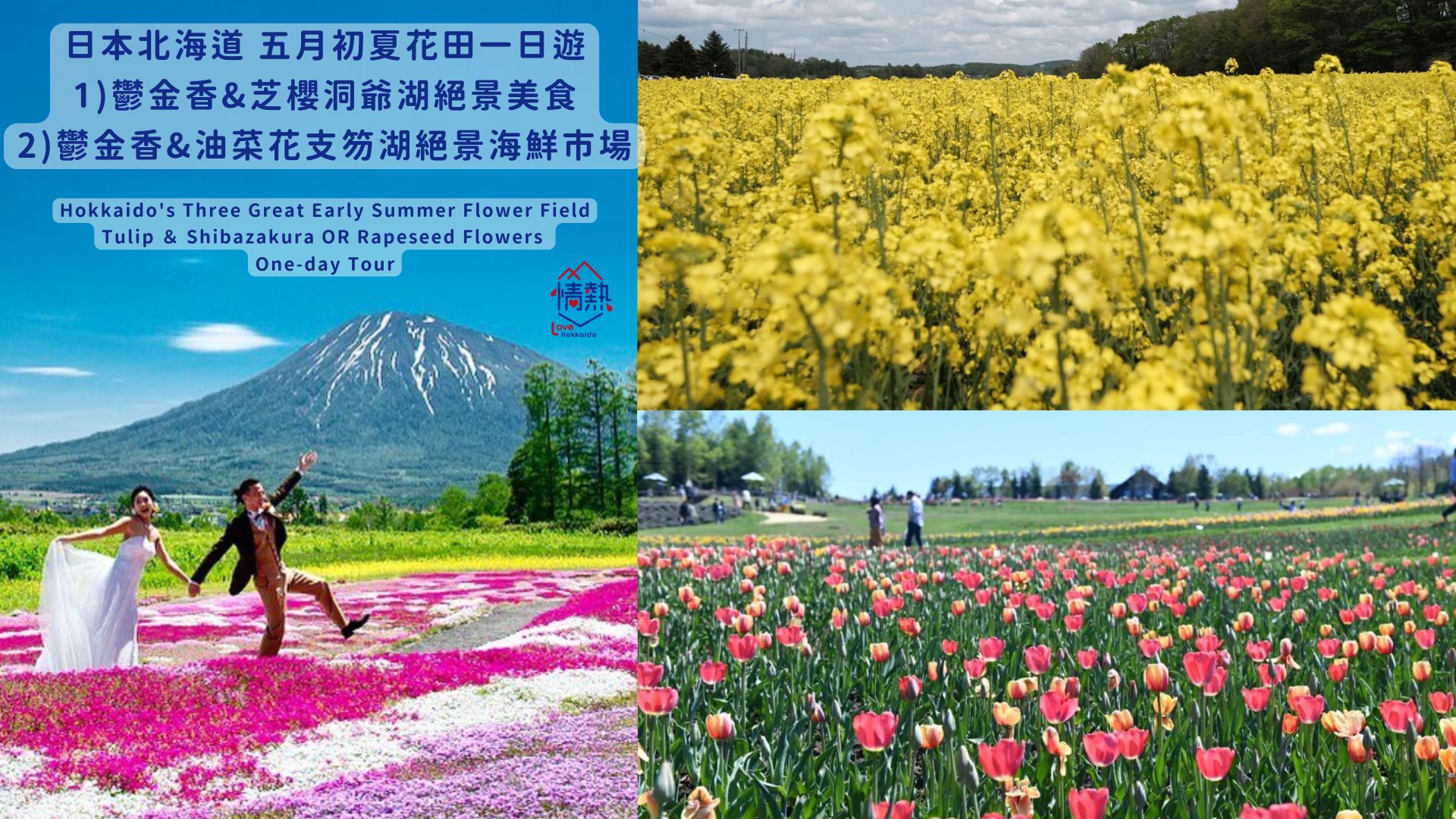 北海道初夏花田：郁金香, 芝樱/油菜花, 洞爷/支笏湖 绝景美食一日游