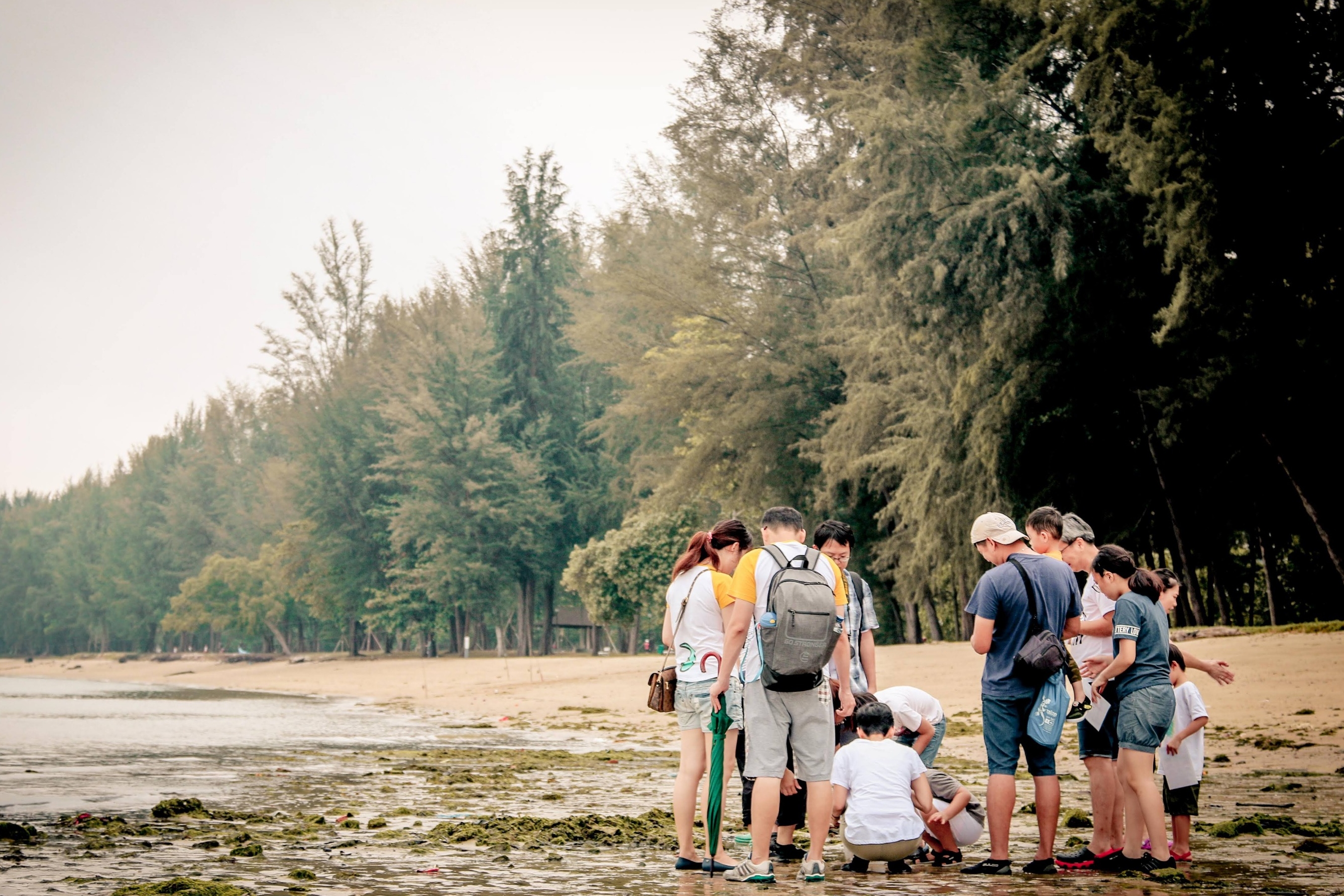 新加坡野外自然徒步探索体验